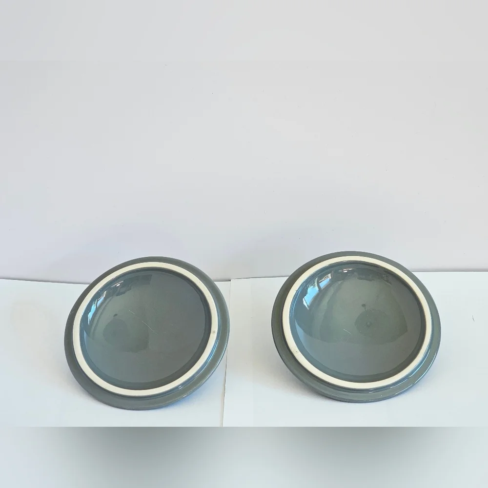 NWOT Temptations Woodland Gray Quick Cookers Small Pot with Lid Set of 2